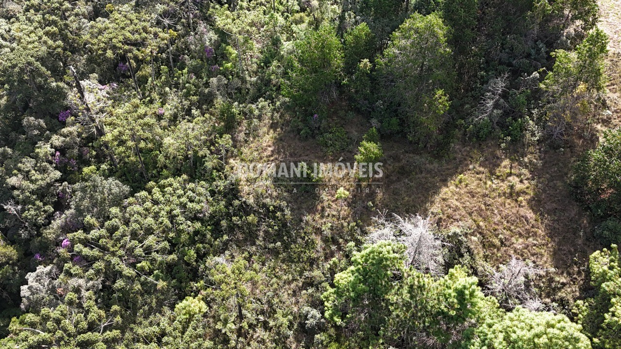 Terreno, 1185 m² - Foto 9