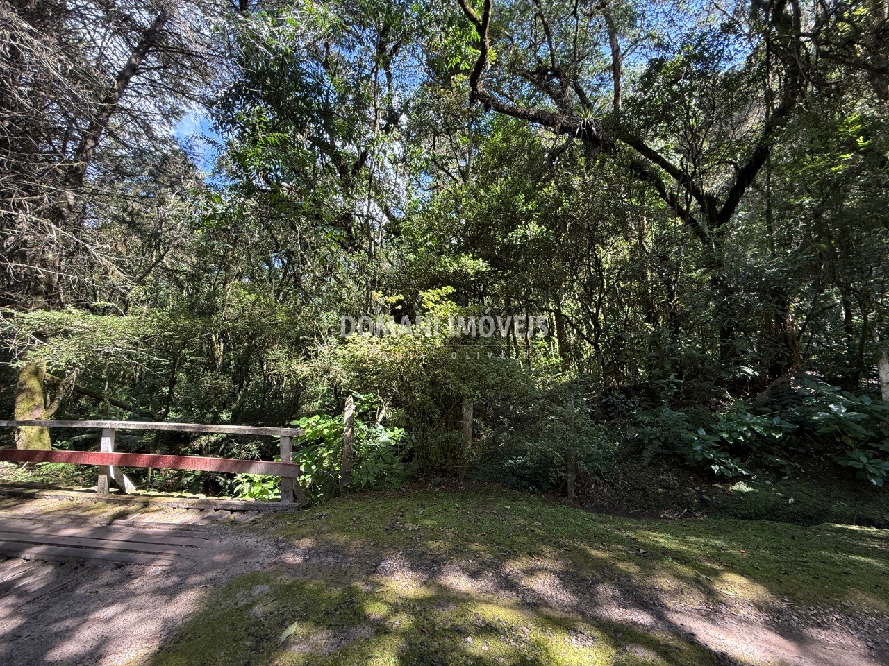Terreno, 2500 m² - Foto 10