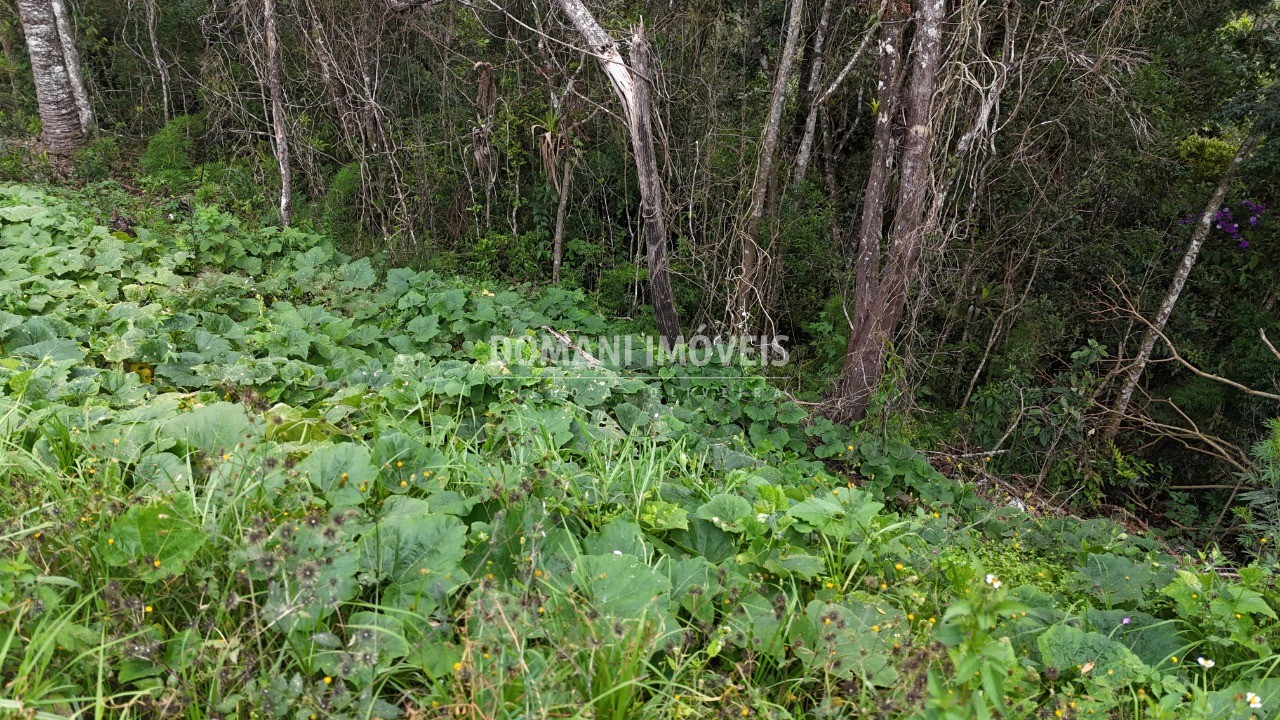 Terreno, 1180 m² - Foto 29