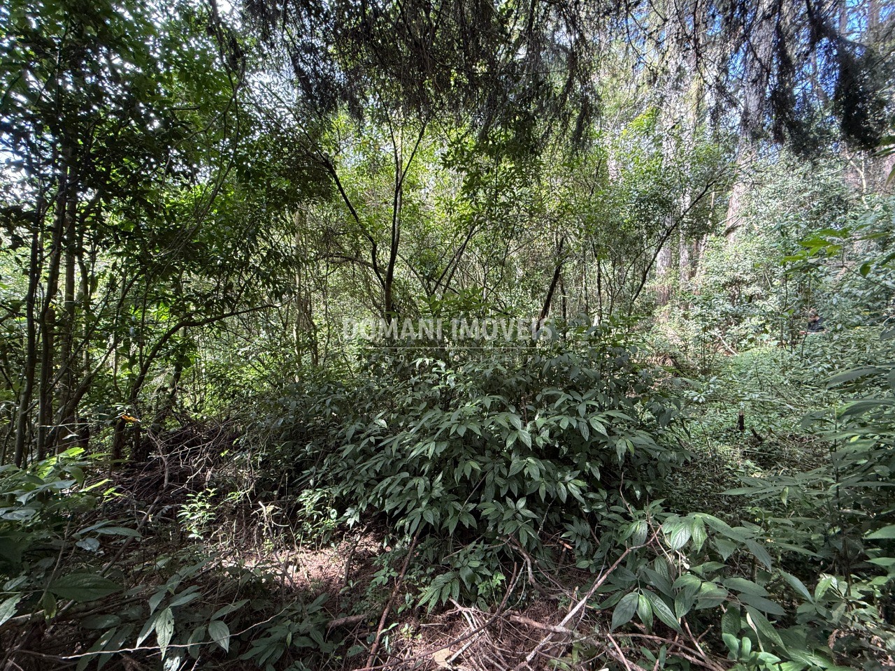 Terreno, 1357 m² - Foto 19