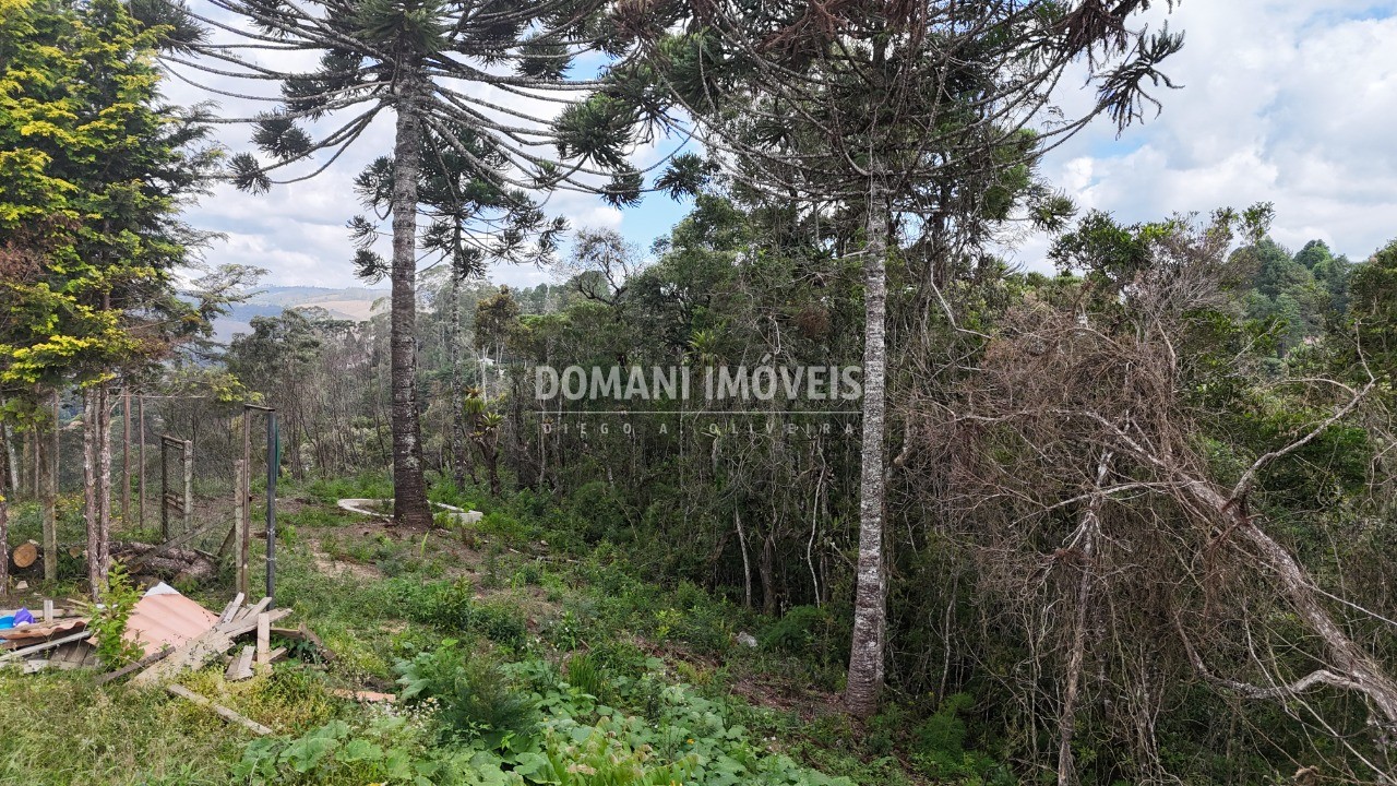 Terreno, 1180 m² - Foto 4