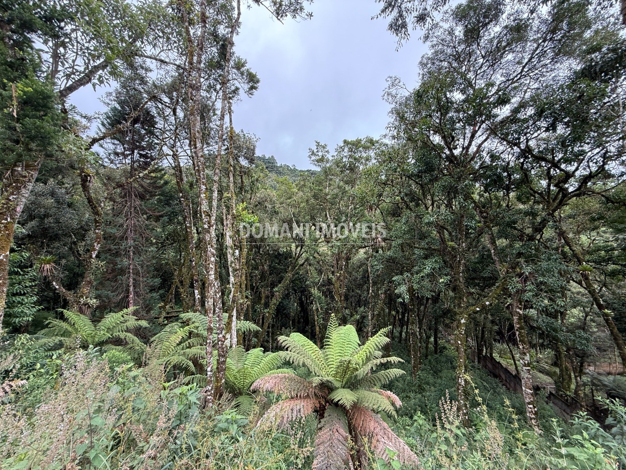 Terreno, 1380 m² - Foto 12