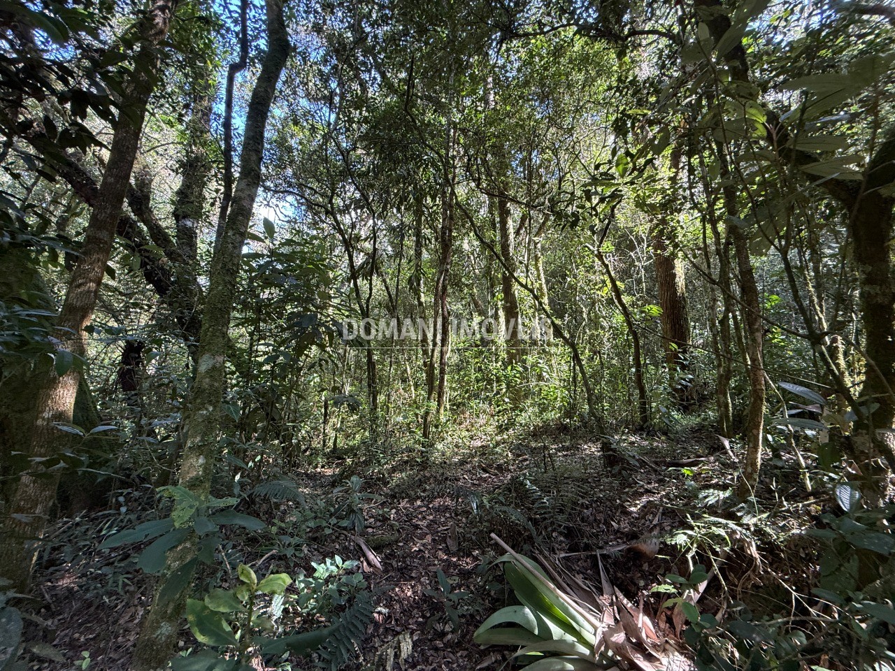 Terreno, 2500 m² - Foto 38
