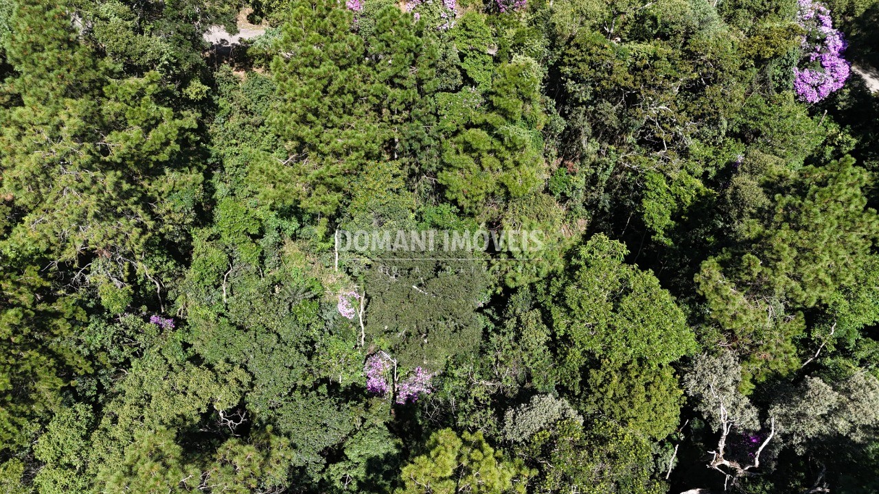 Terreno, 1200 m² - Foto 18