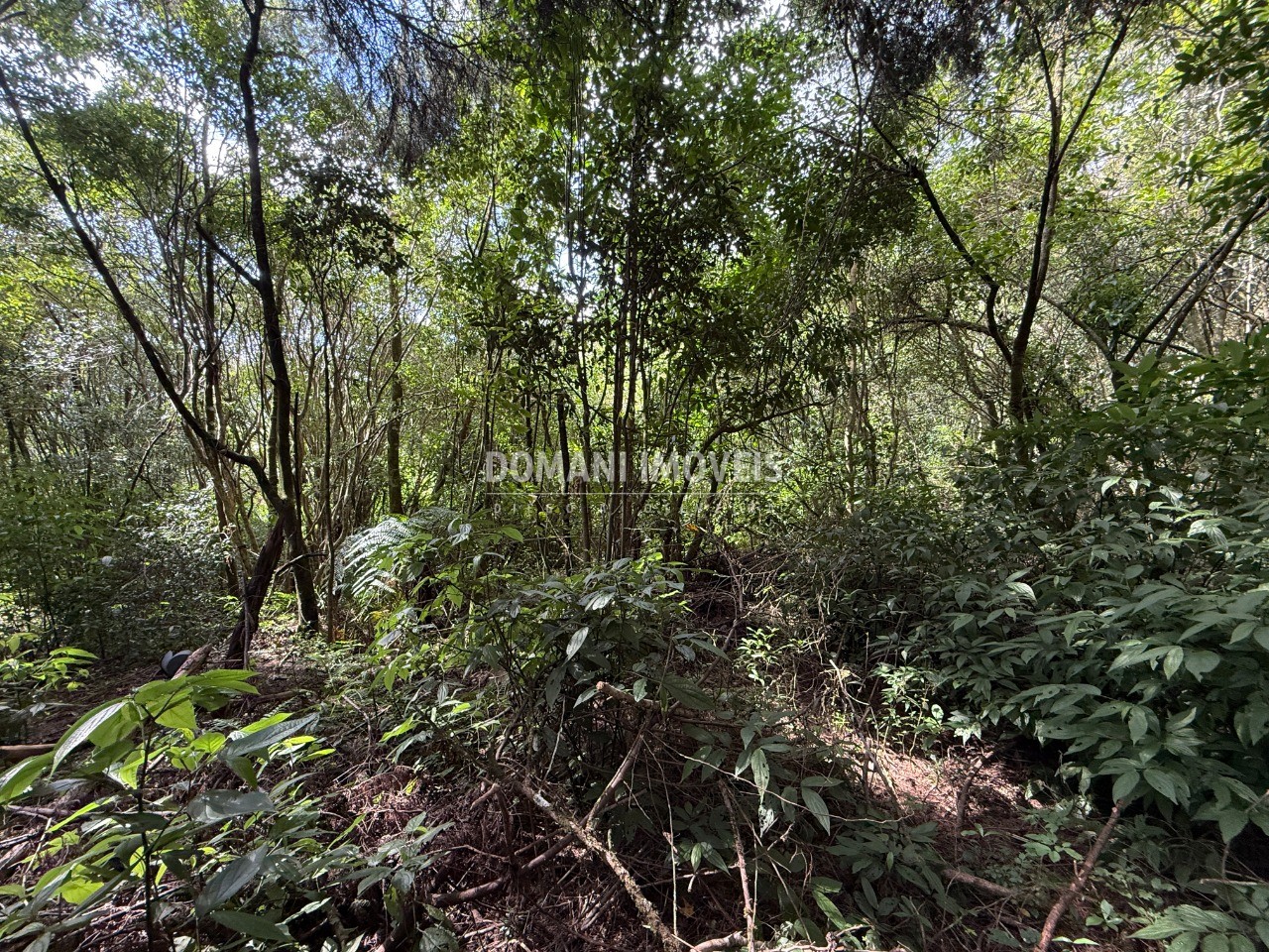 Terreno, 1357 m² - Foto 18