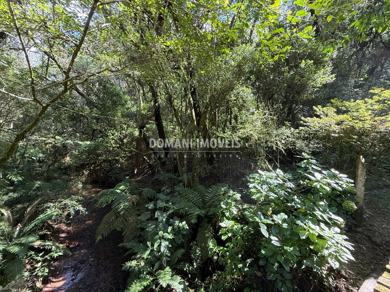 Terreno, 2500 m² - Foto 7