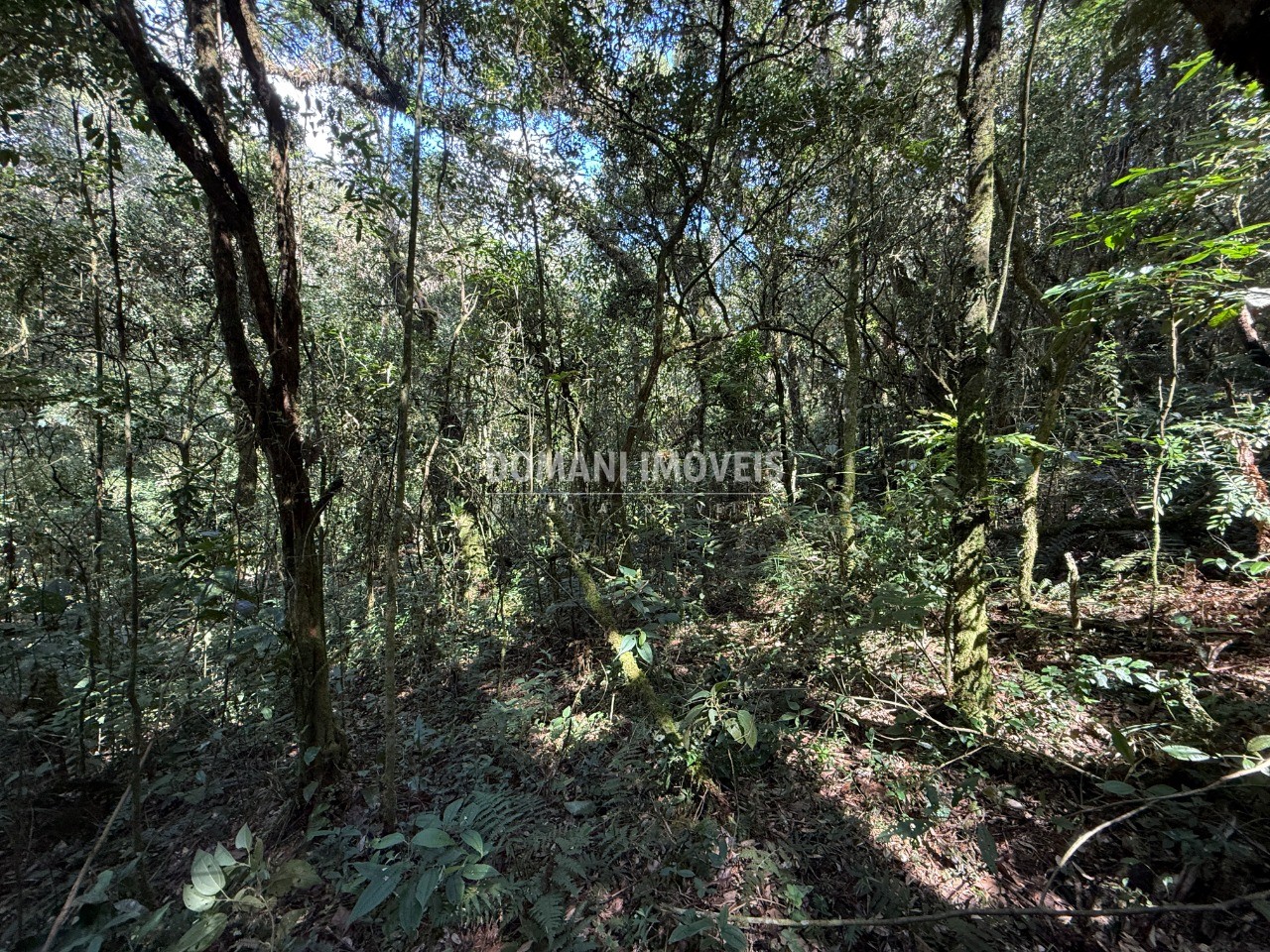 Terreno, 2500 m² - Foto 33