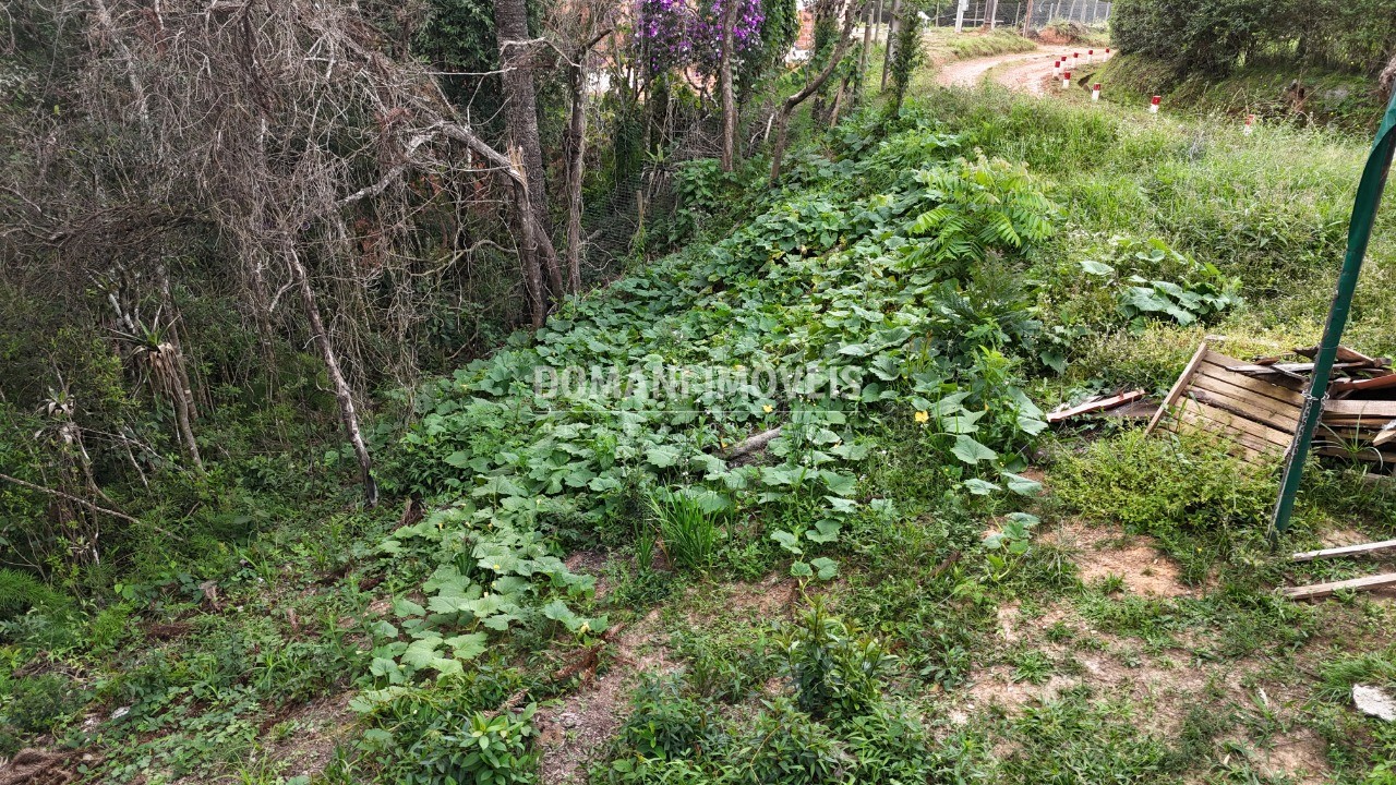 Terreno, 1180 m² - Foto 12