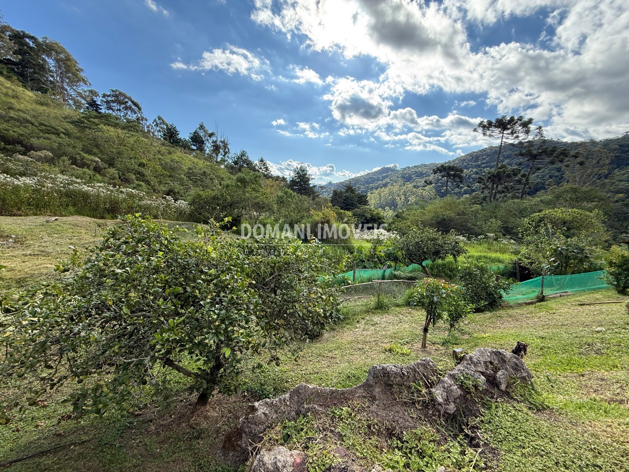 Terreno - Foto 15