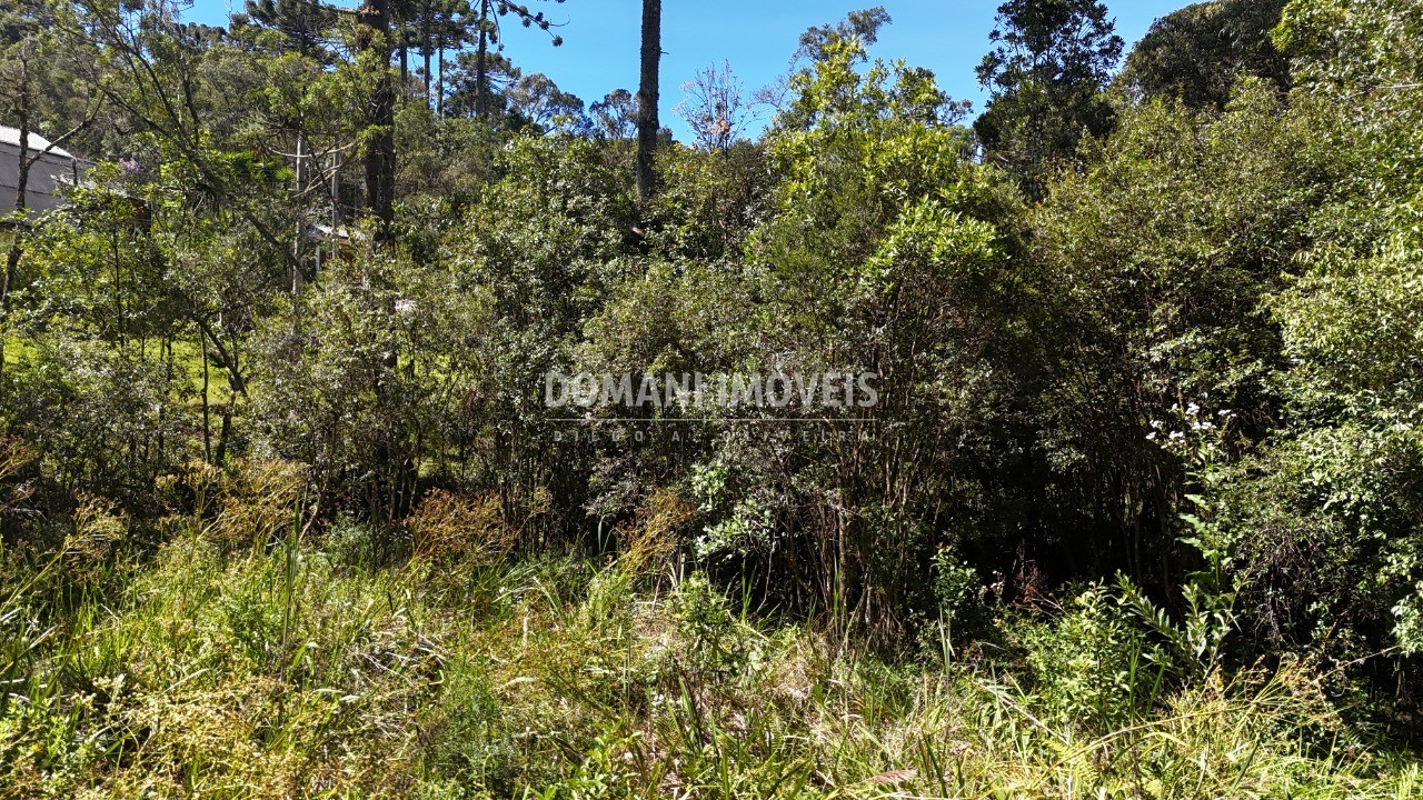 Terreno, 1120 m² - Foto 12