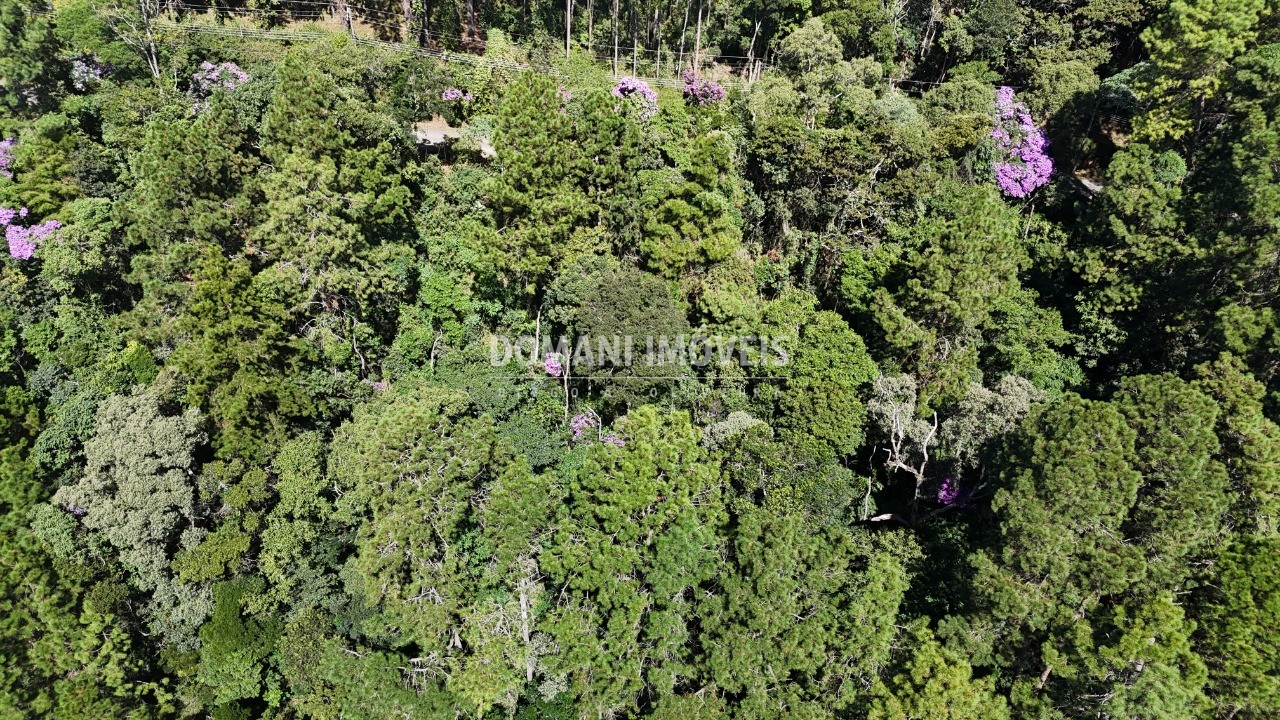 Terreno, 1200 m² - Foto 23
