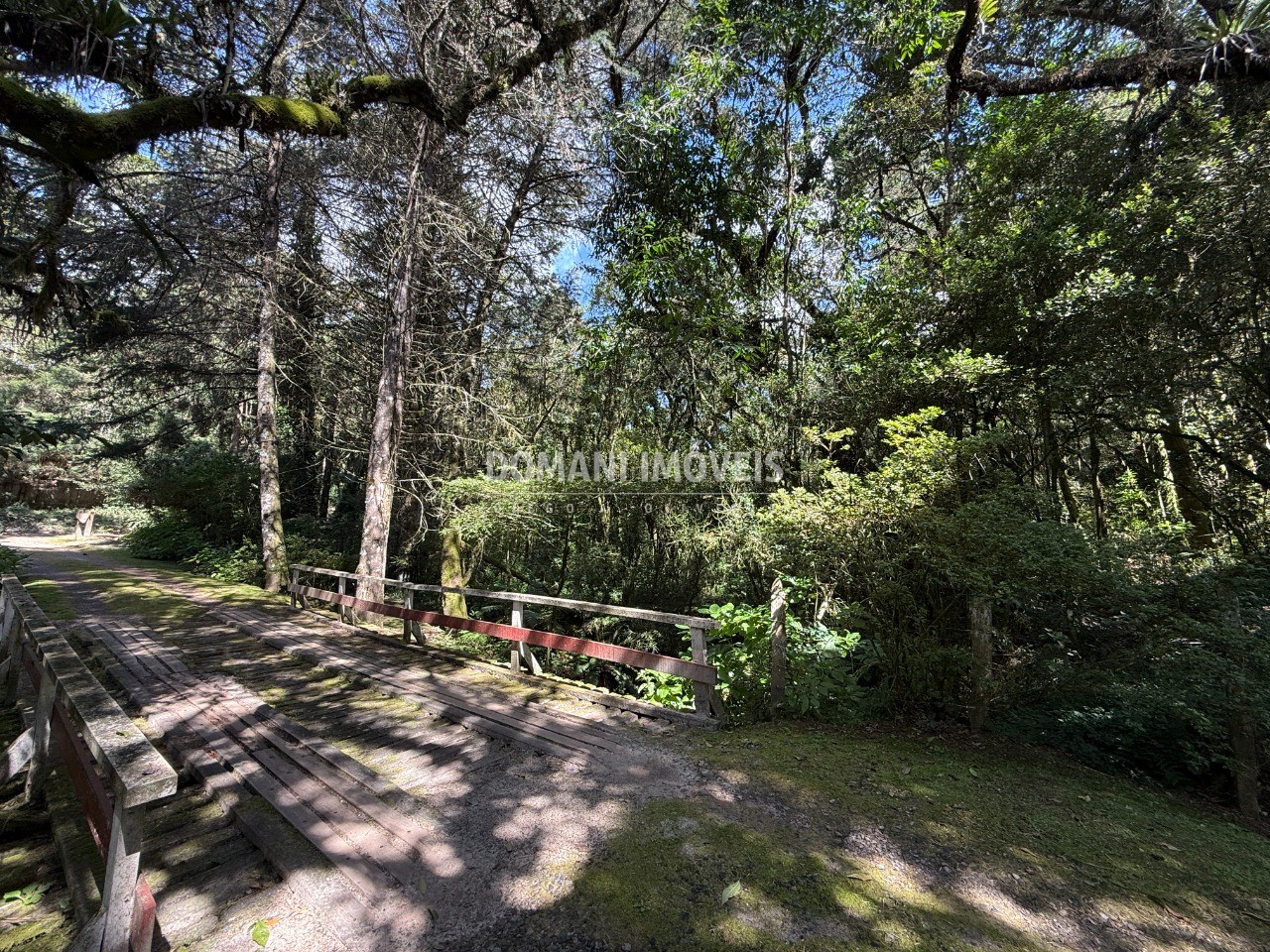 Terreno, 2500 m² - Foto 9