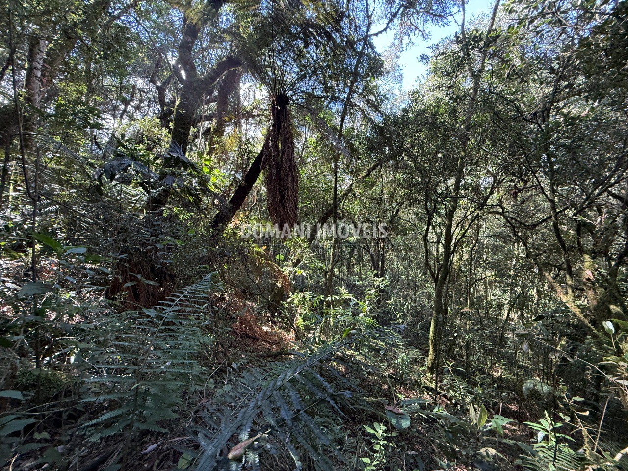 Terreno, 2500 m² - Foto 27