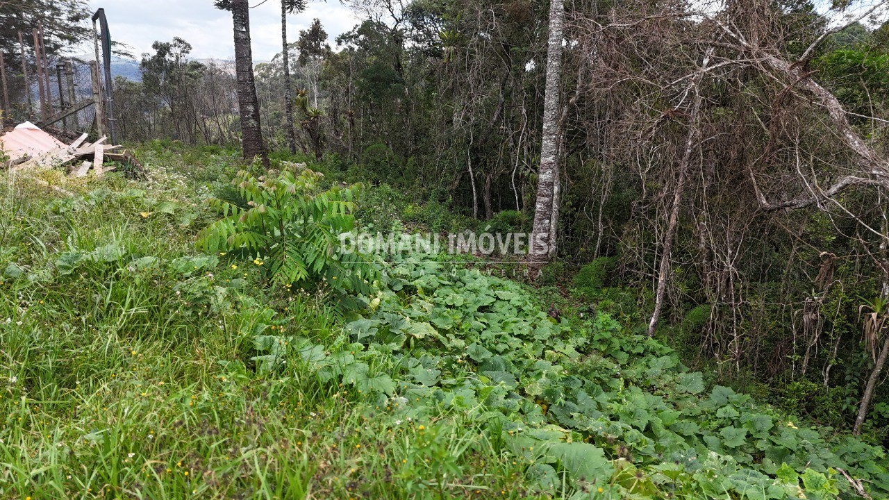 Terreno, 1180 m² - Foto 34
