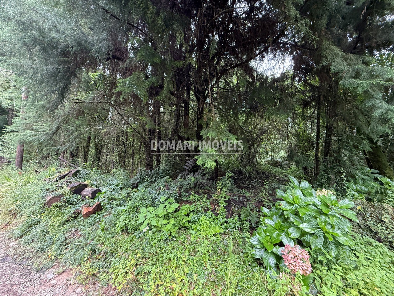 Terreno, 1140 m² - Foto 16