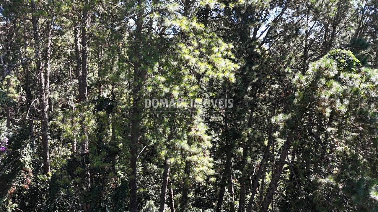 Terreno, 1550 m² - Foto 4