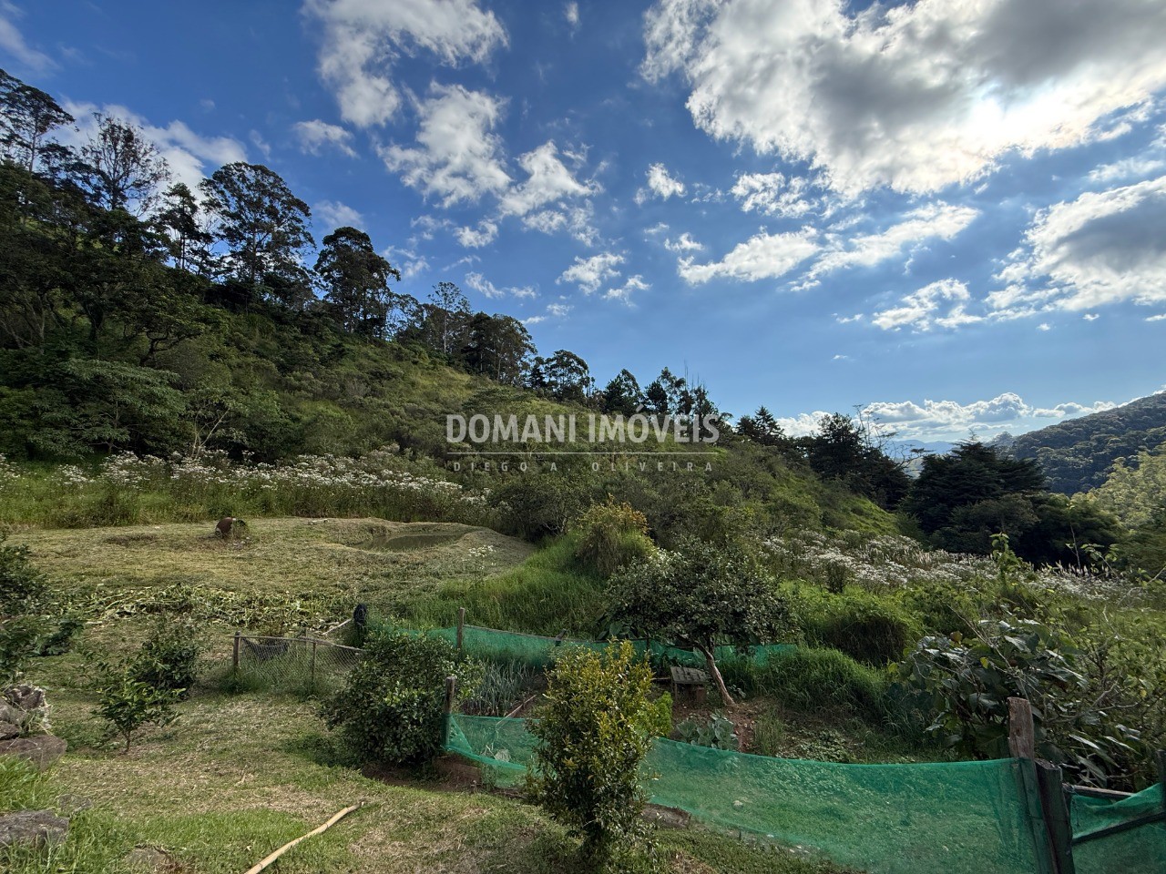 Terreno - Foto 13