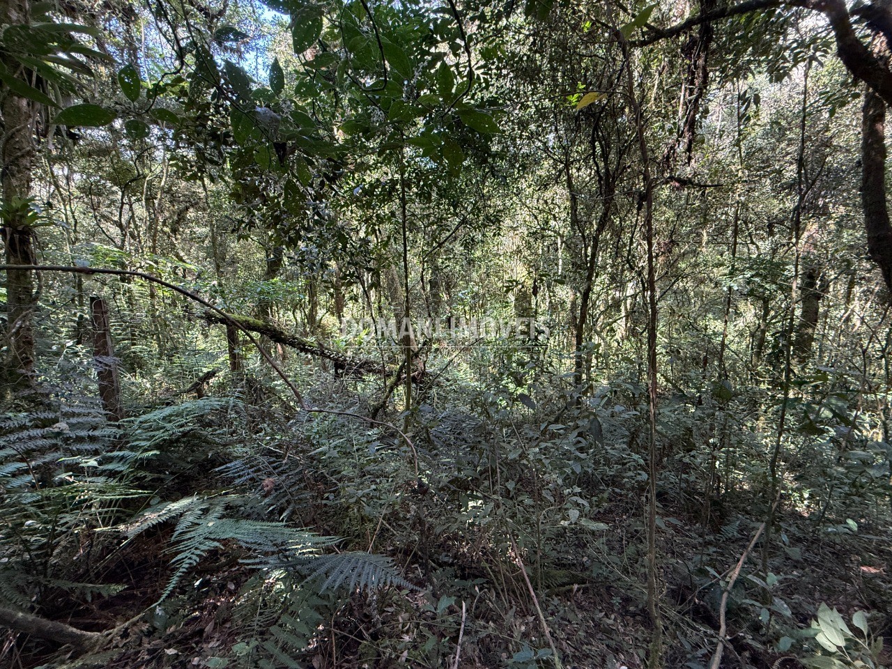 Terreno, 2500 m² - Foto 32