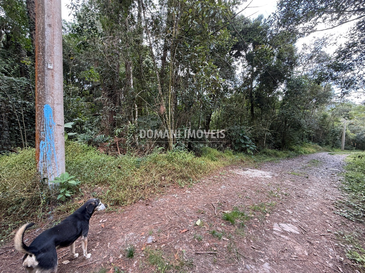 Terreno, 1357 m² - Foto 25