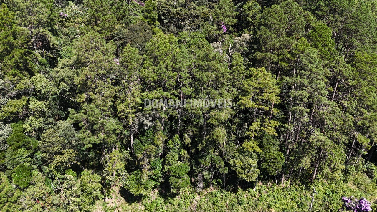 Terreno, 1200 m² - Foto 3