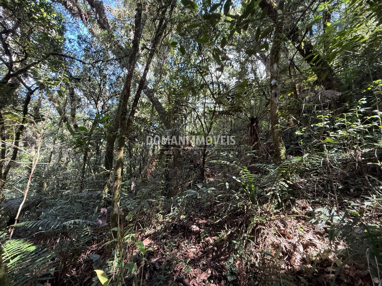 Terreno, 2500 m² - Foto 28