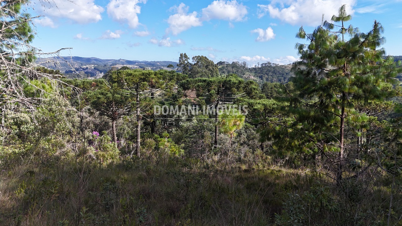Terreno, 1185 m² - Foto 1