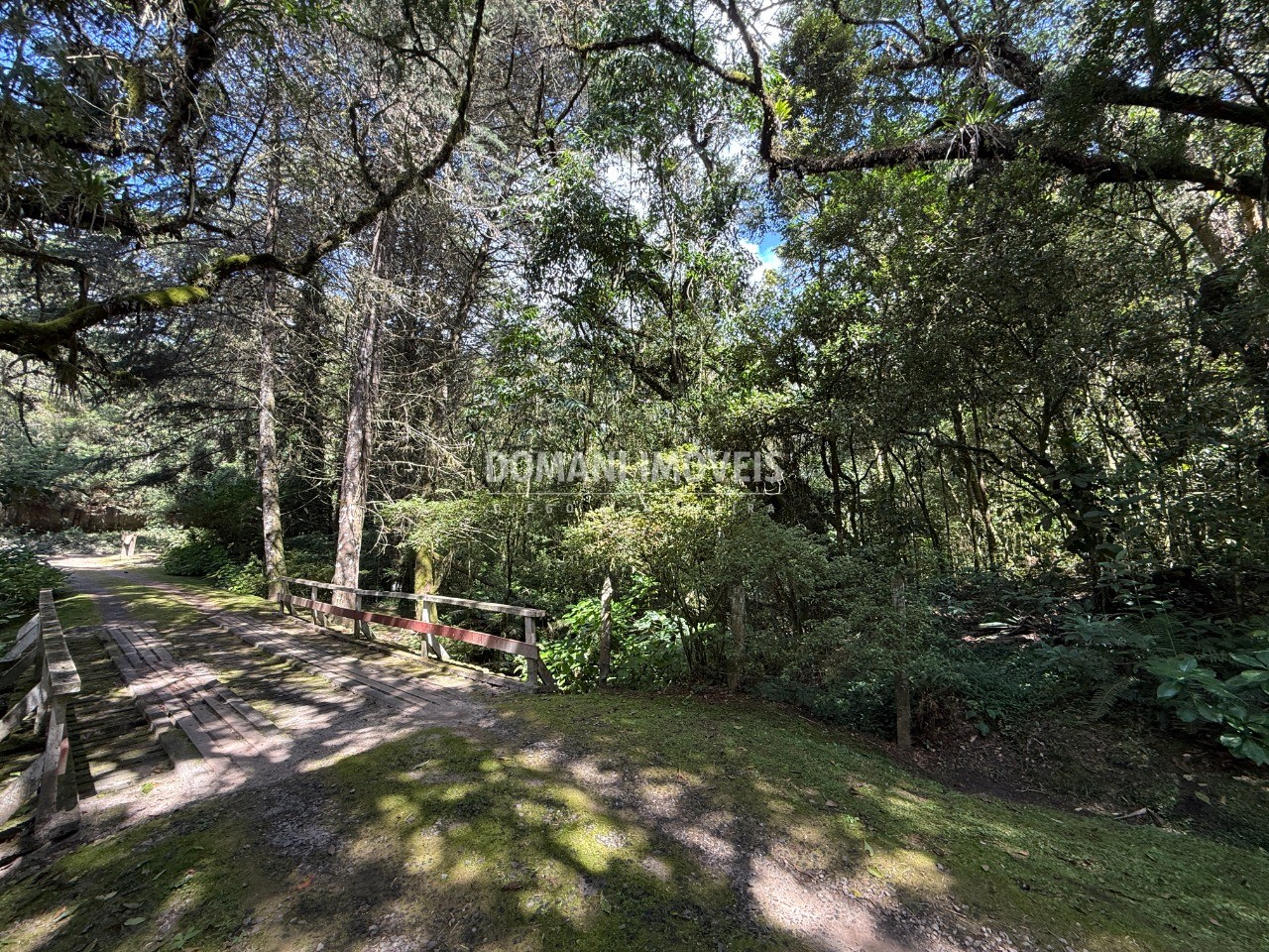Terreno, 2500 m² - Foto 3