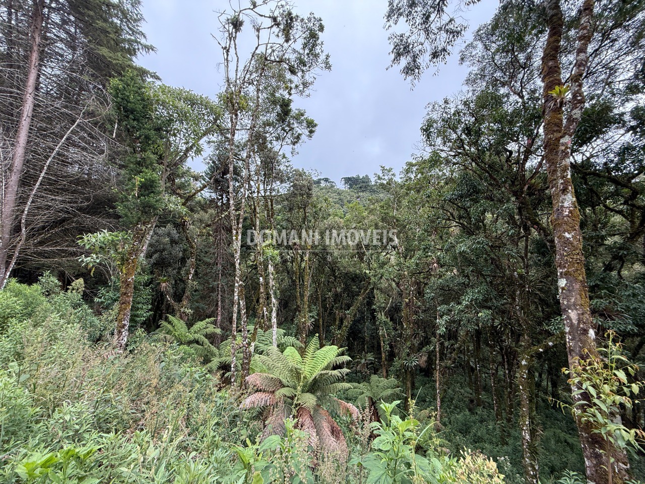 Terreno, 1380 m² - Foto 13