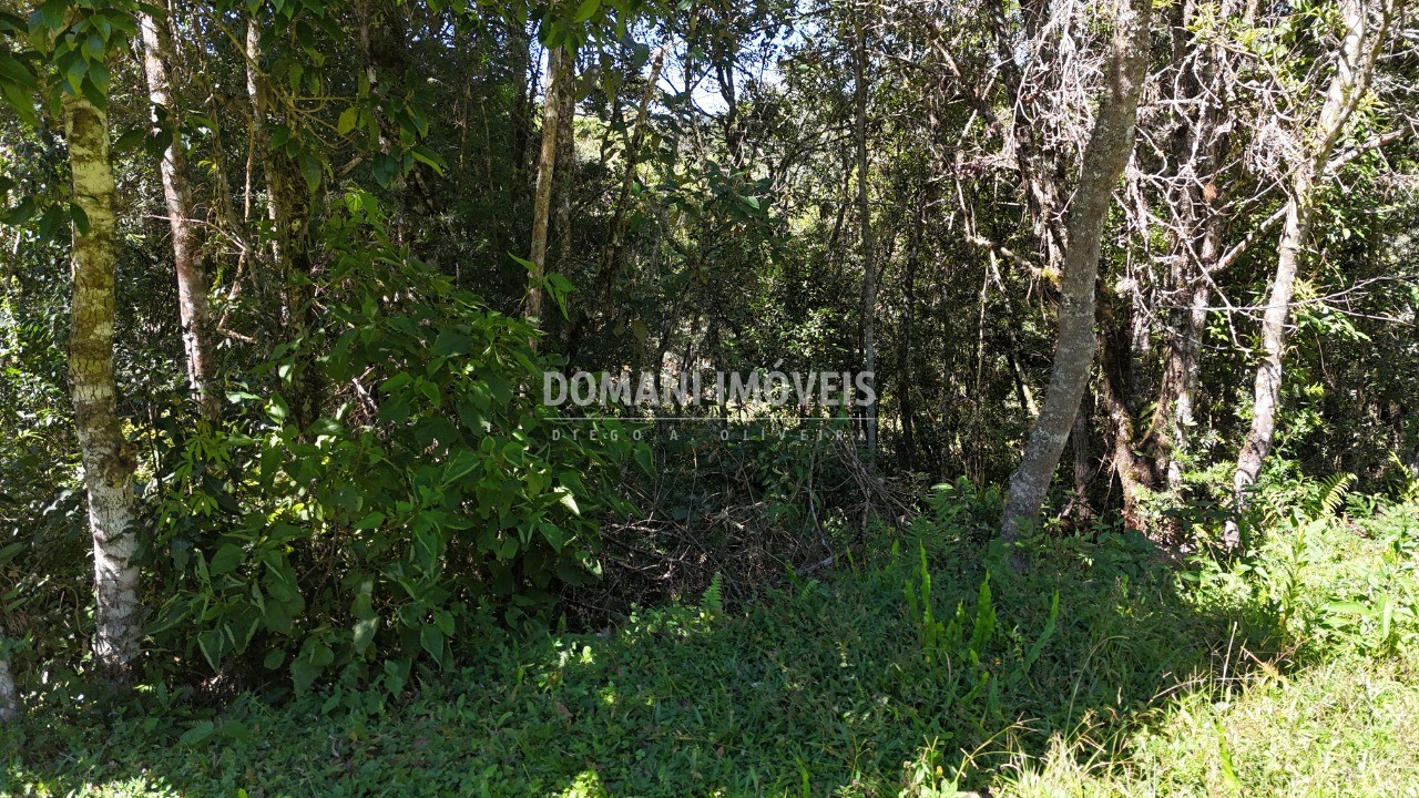 Terreno, 1120 m² - Foto 13