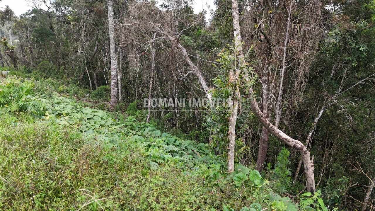 Terreno, 1180 m² - Foto 30