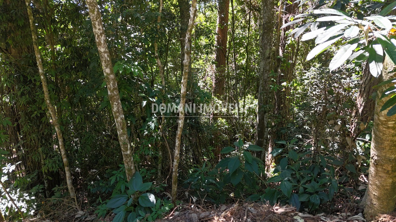 Terreno, 1310 m² - Foto 13