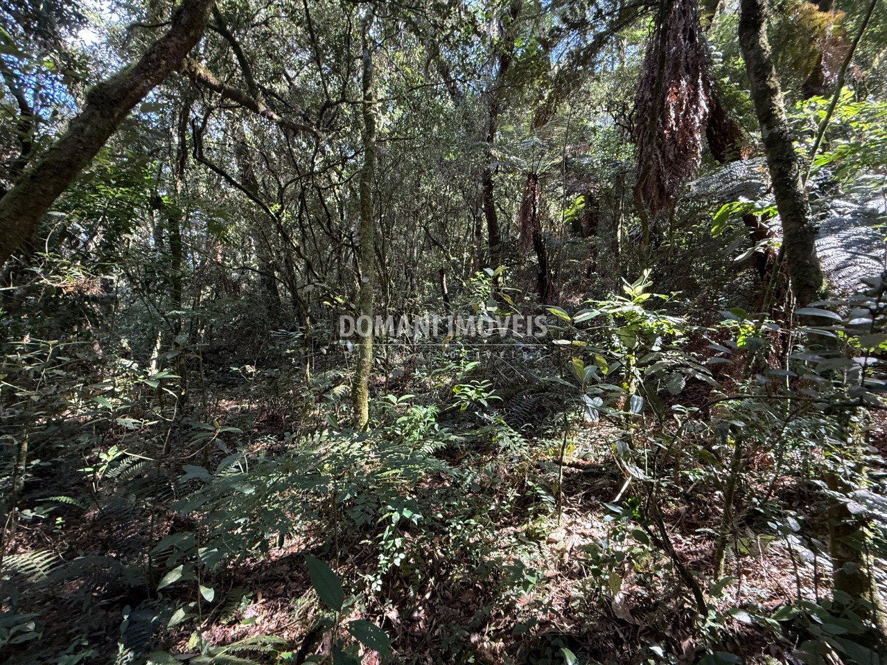 Terreno, 2500 m² - Foto 34