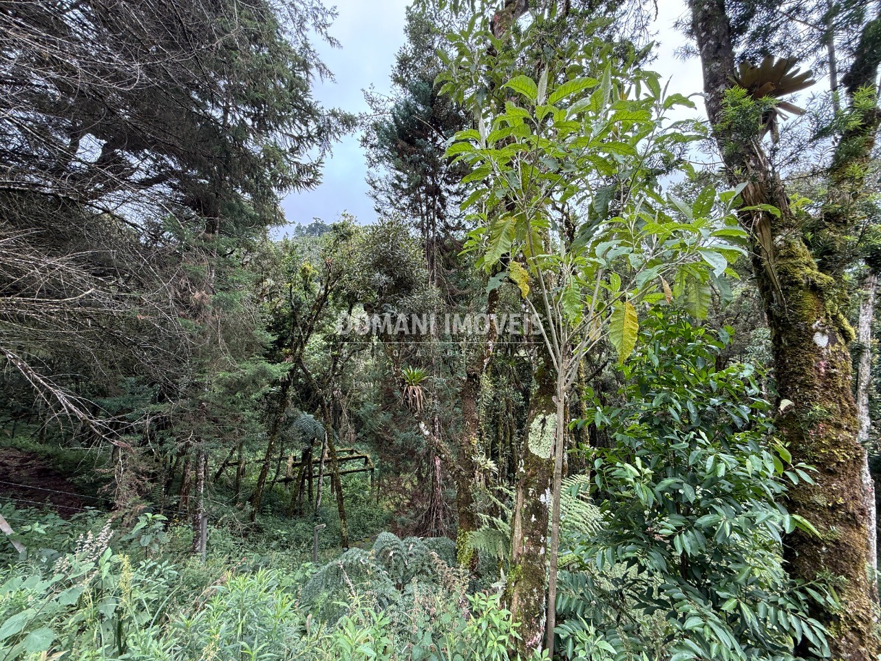Terreno, 1380 m² - Foto 4