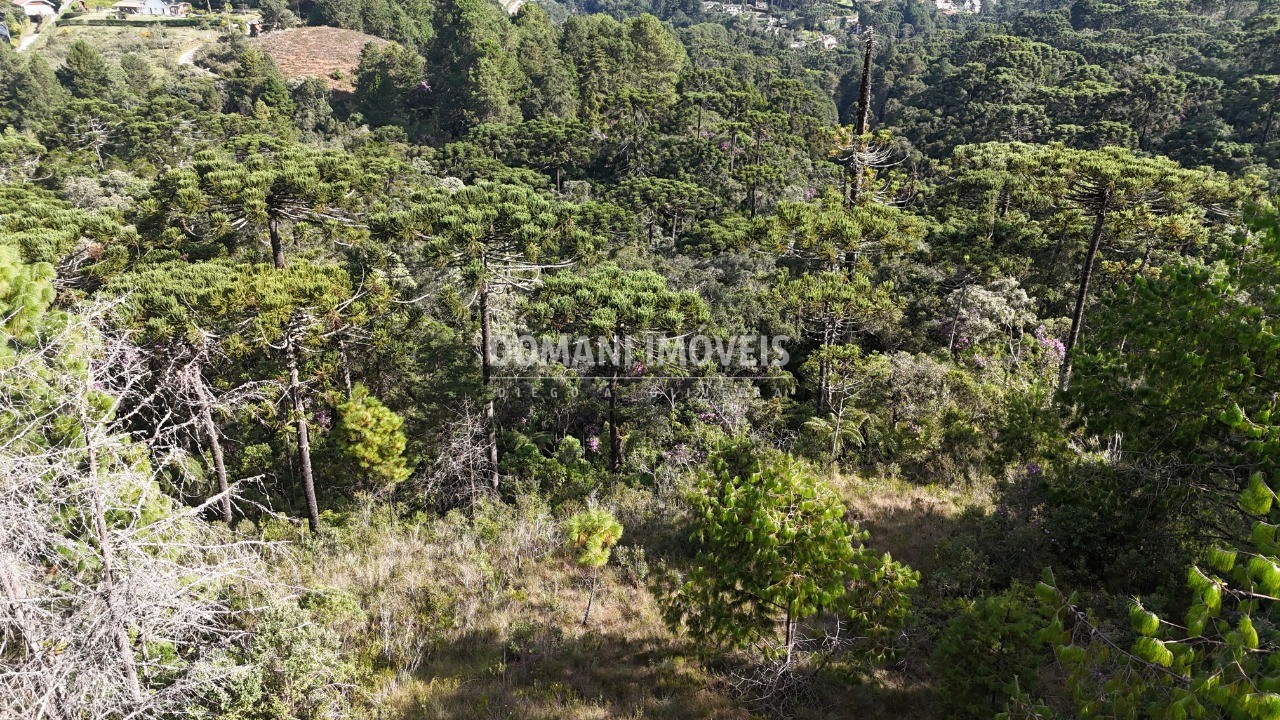 Terreno, 1185 m² - Foto 6