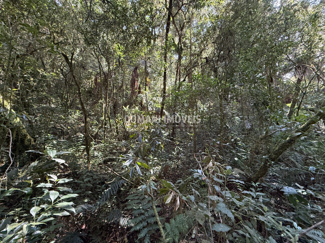 Terreno, 2500 m² - Foto 24