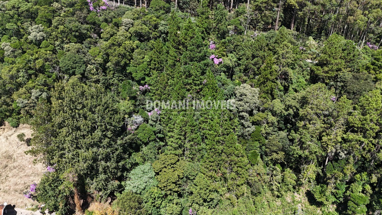 Terreno, 1030 m² - Foto 19