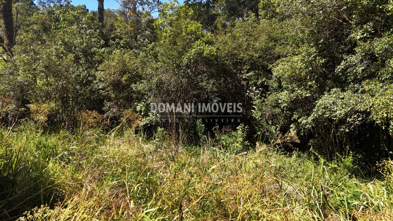 Terreno, 1120 m² - Foto 10