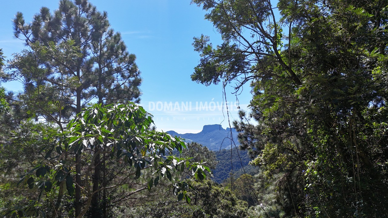 Terreno, 1200 m² - Foto 12