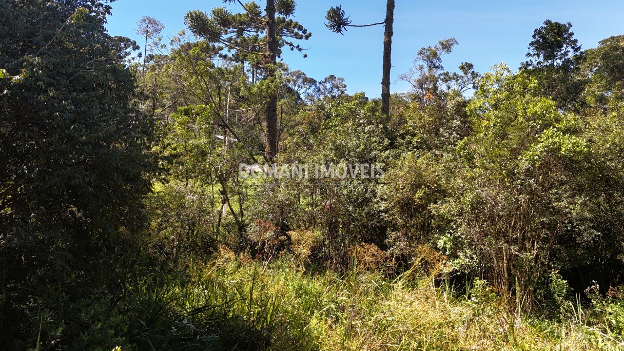 Terreno, 1120 m² - Foto 5
