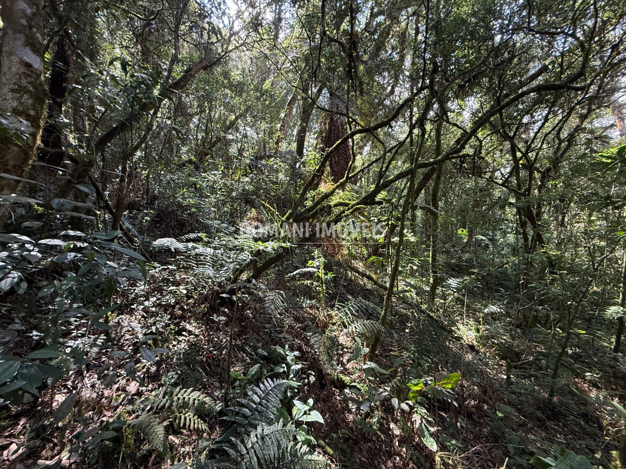 Terreno, 2500 m² - Foto 25