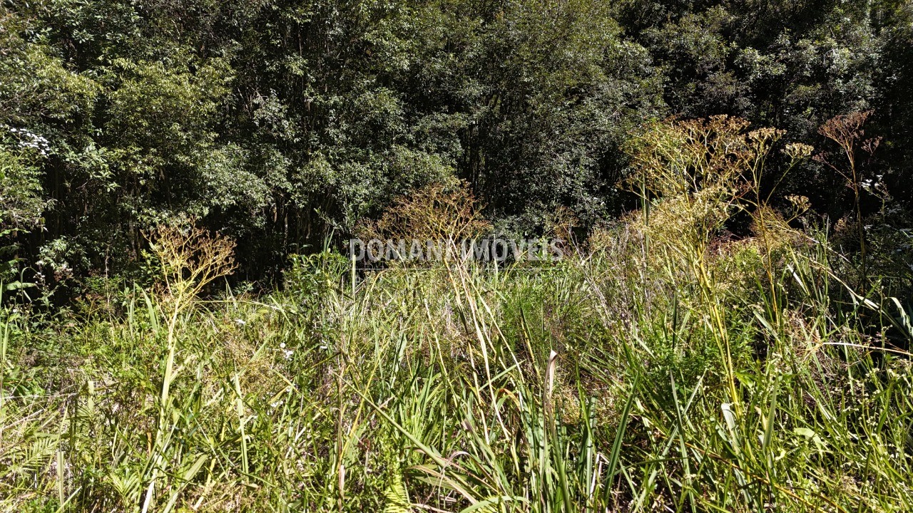 Terreno, 1120 m² - Foto 22