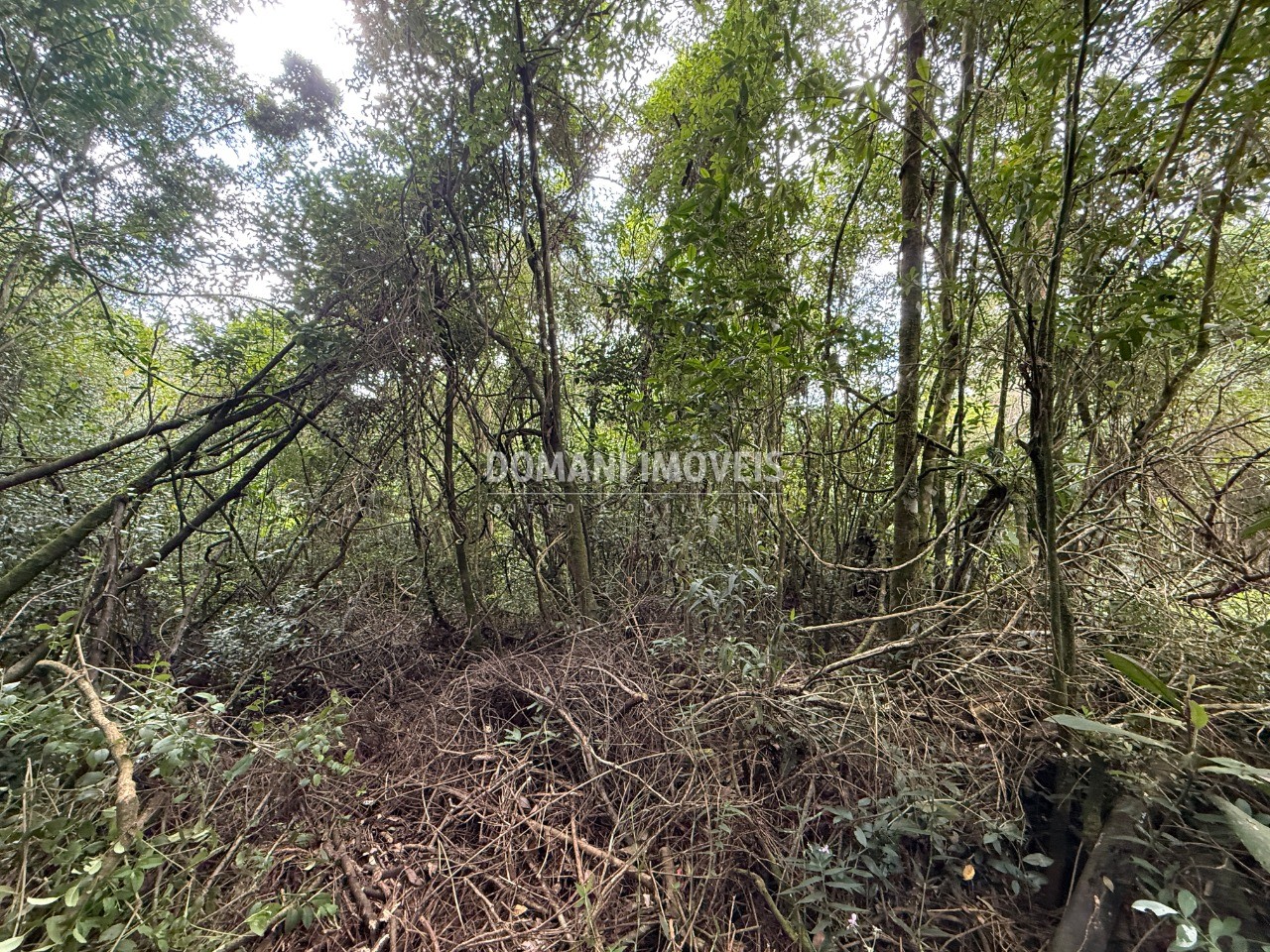 Terreno, 1357 m² - Foto 6