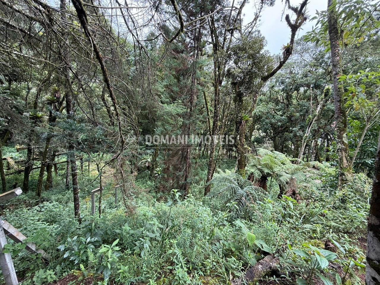 Terreno, 1380 m² - Foto 1