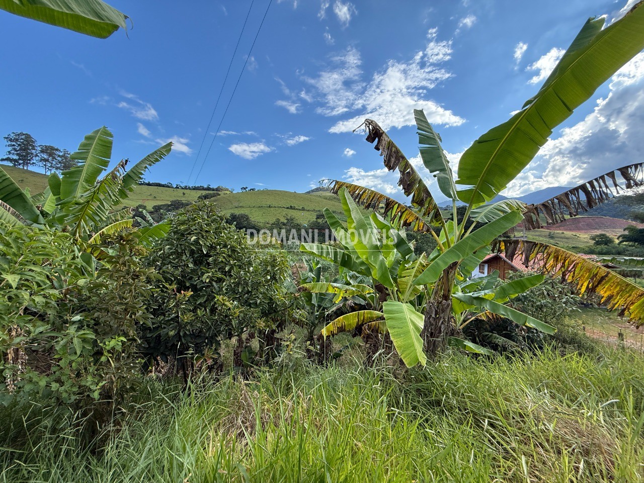 Terreno, 2585 m² - Foto 9