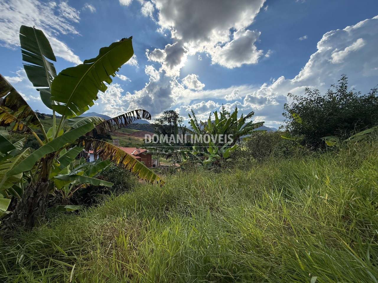 Terreno, 2585 m² - Foto 10