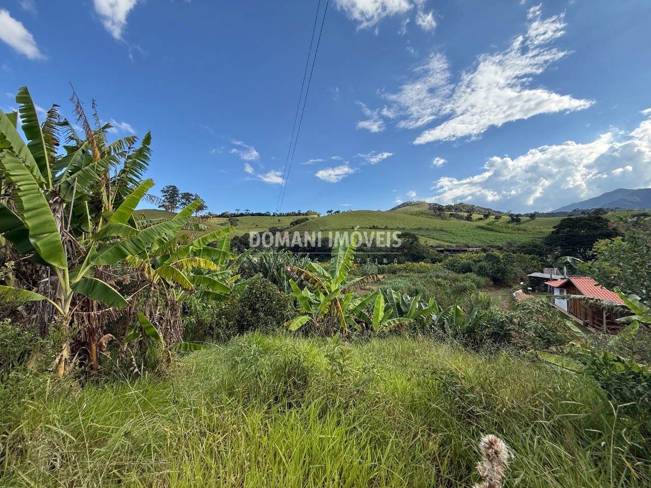 Terreno, 2585 m² - Foto 11