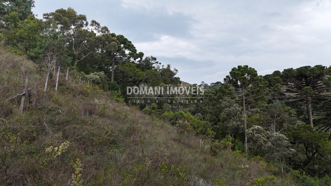 Terreno, 1985 m² - Foto 17
