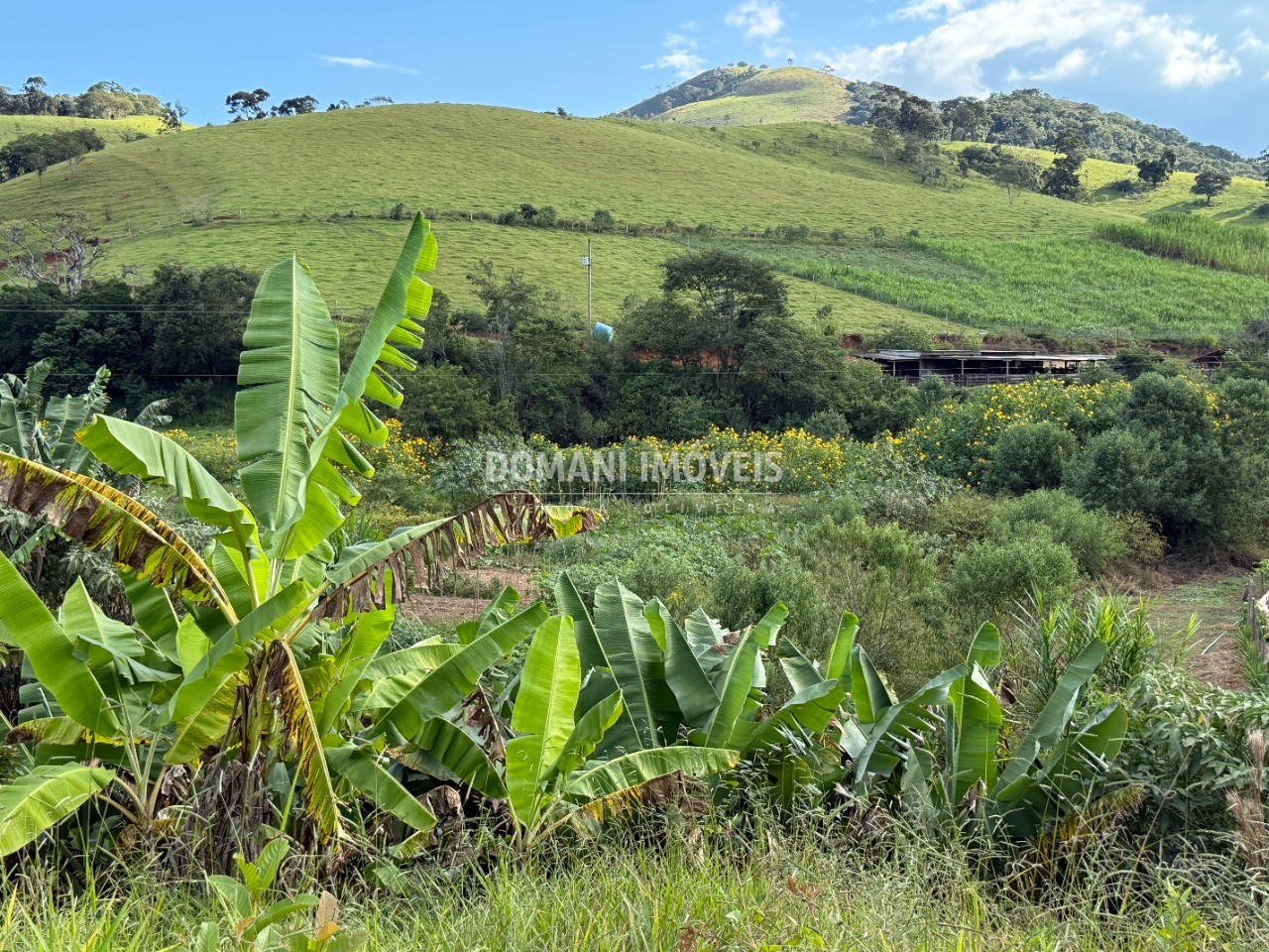 Terreno, 2585 m² - Foto 12