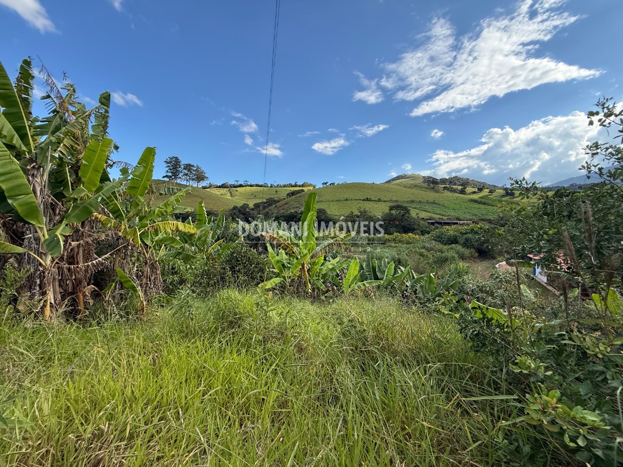 Terreno, 2585 m² - Foto 13