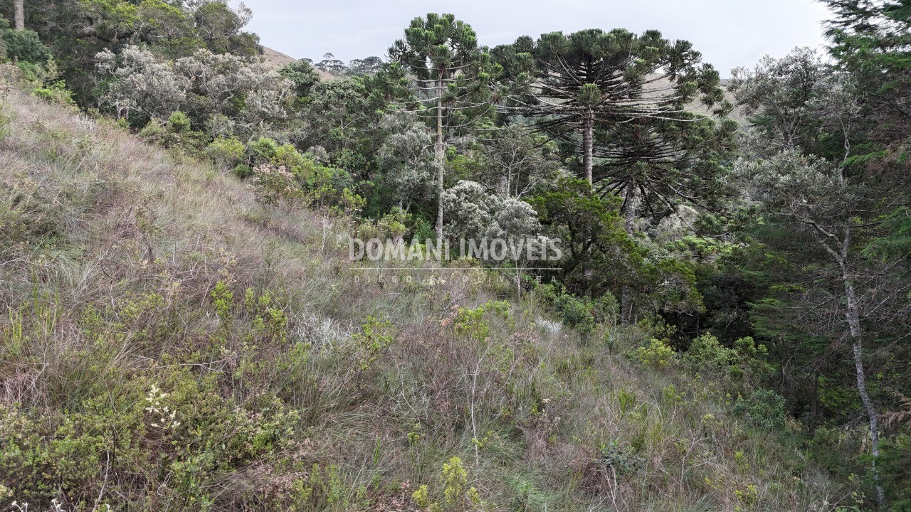 Terreno, 1985 m² - Foto 6